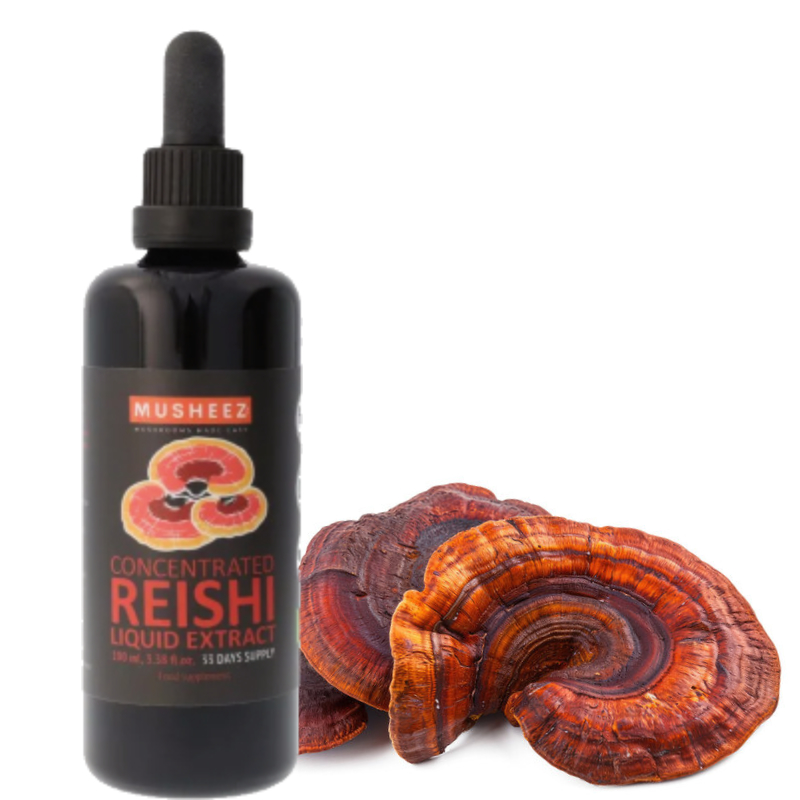 Reishi-800x800